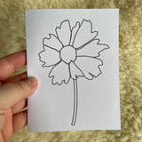 Cinnamon Coreopsis - paint your own- Blank Greeting Card