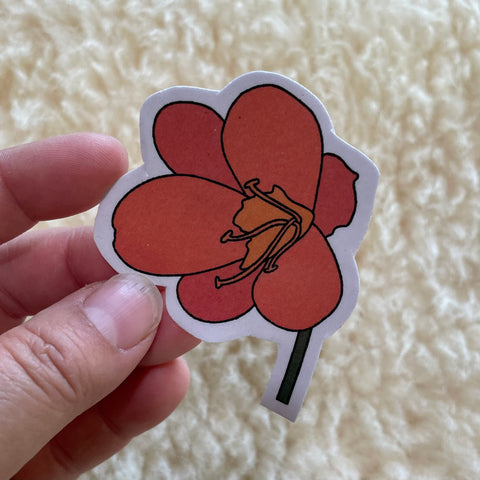 Bush Lily Sticker