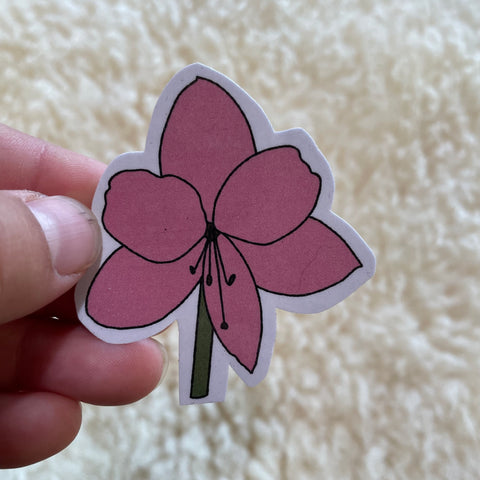 Amaryllis Sticker